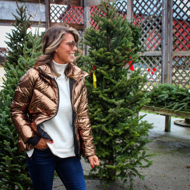 40ed33ce-f7f6-4a53-8e06-62c4ad889d37